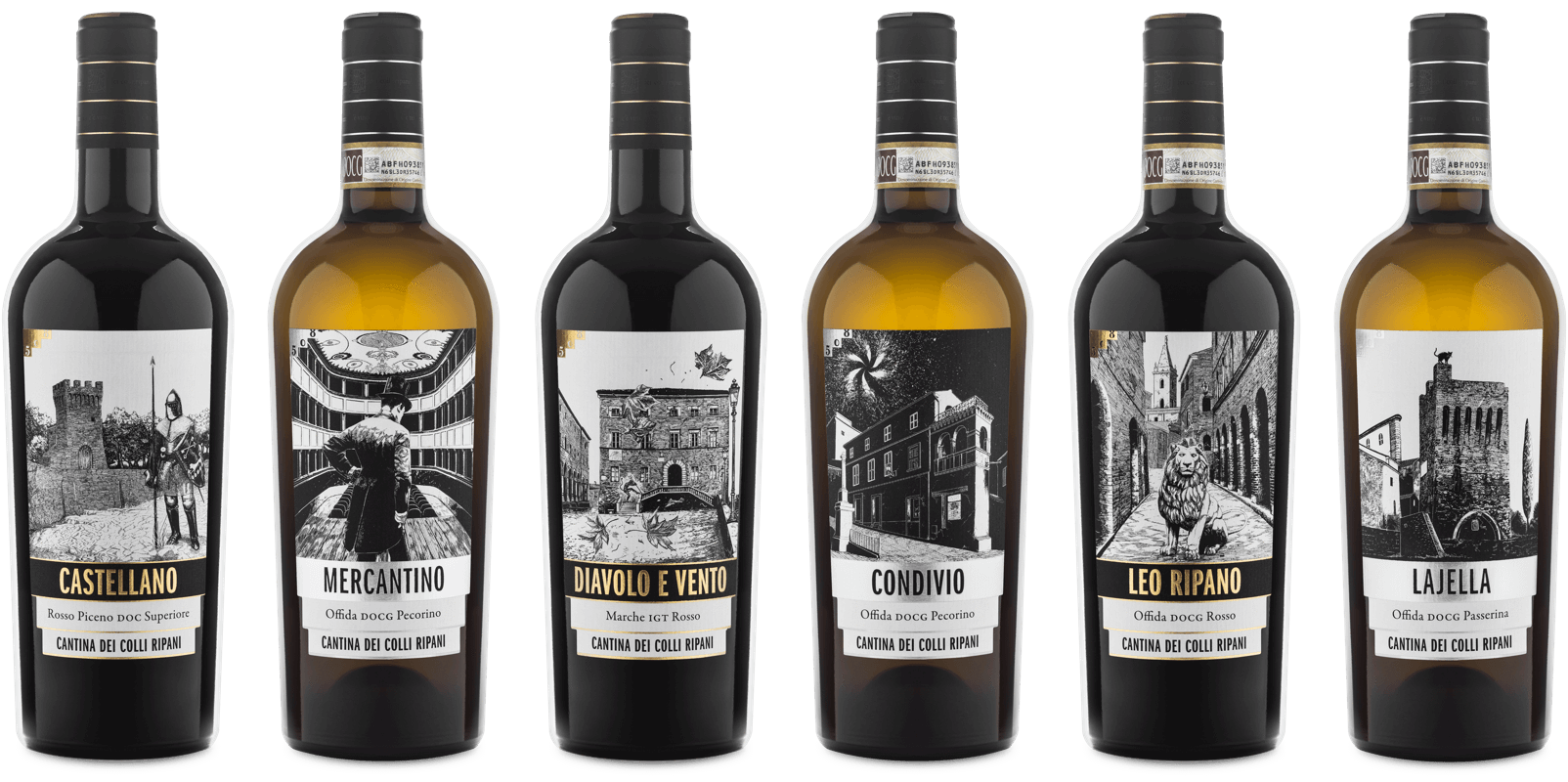 Cantina dei Colli Ripani