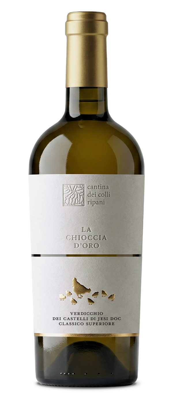 La Chioccia d'Oro - Verdicchio dei Castelli di Jesi DOC Classico Superiore 2024
