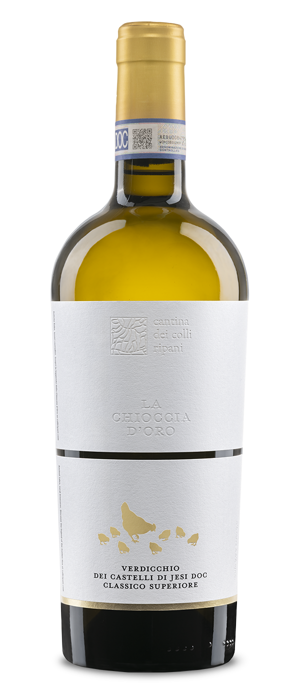 La Chioccia d'Oro - Verdicchio dei Castelli di Jesi DOC Classico Superiore 2024