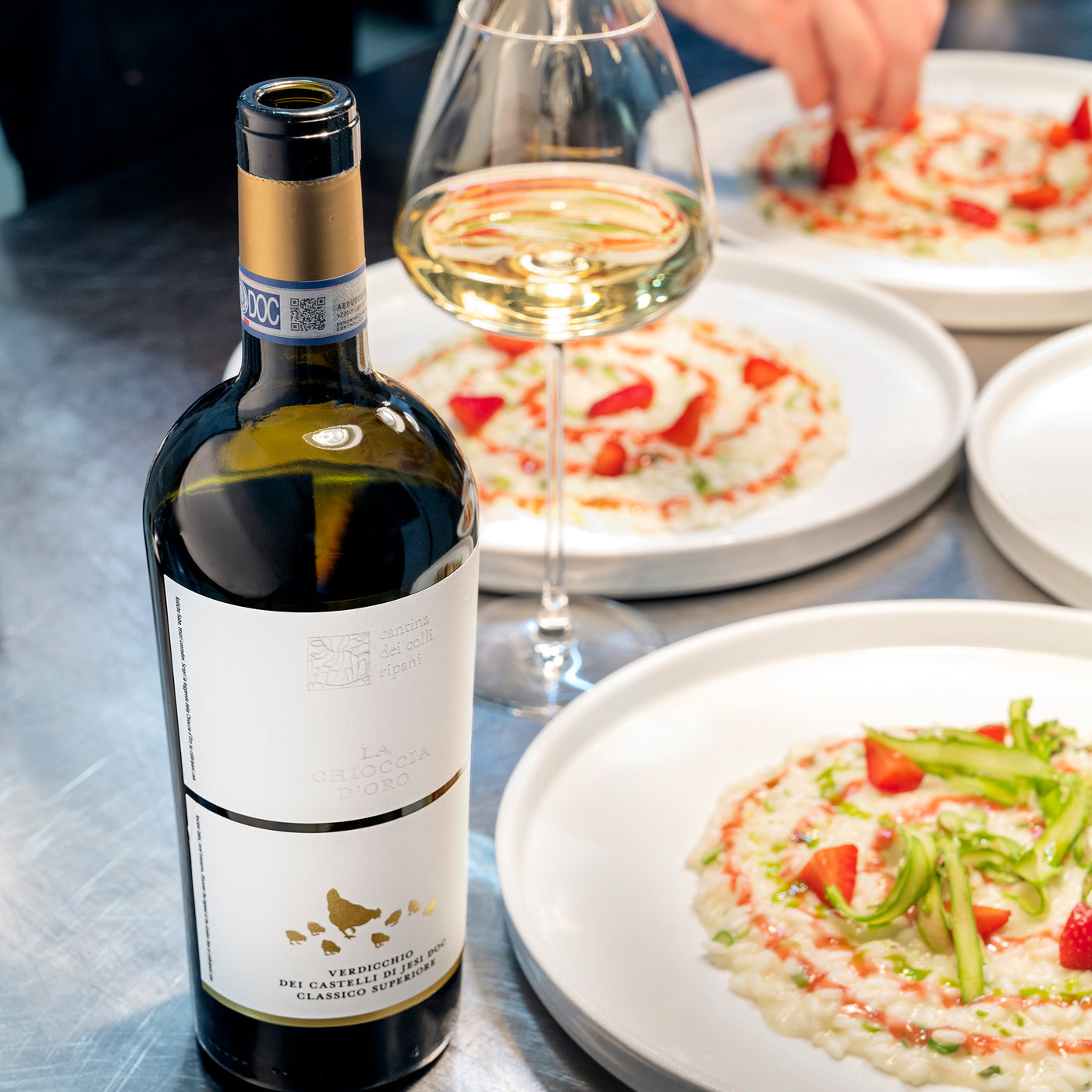 La Chioccia d'Oro - Verdicchio dei Castelli di Jesi DOC Classico Superiore 2024