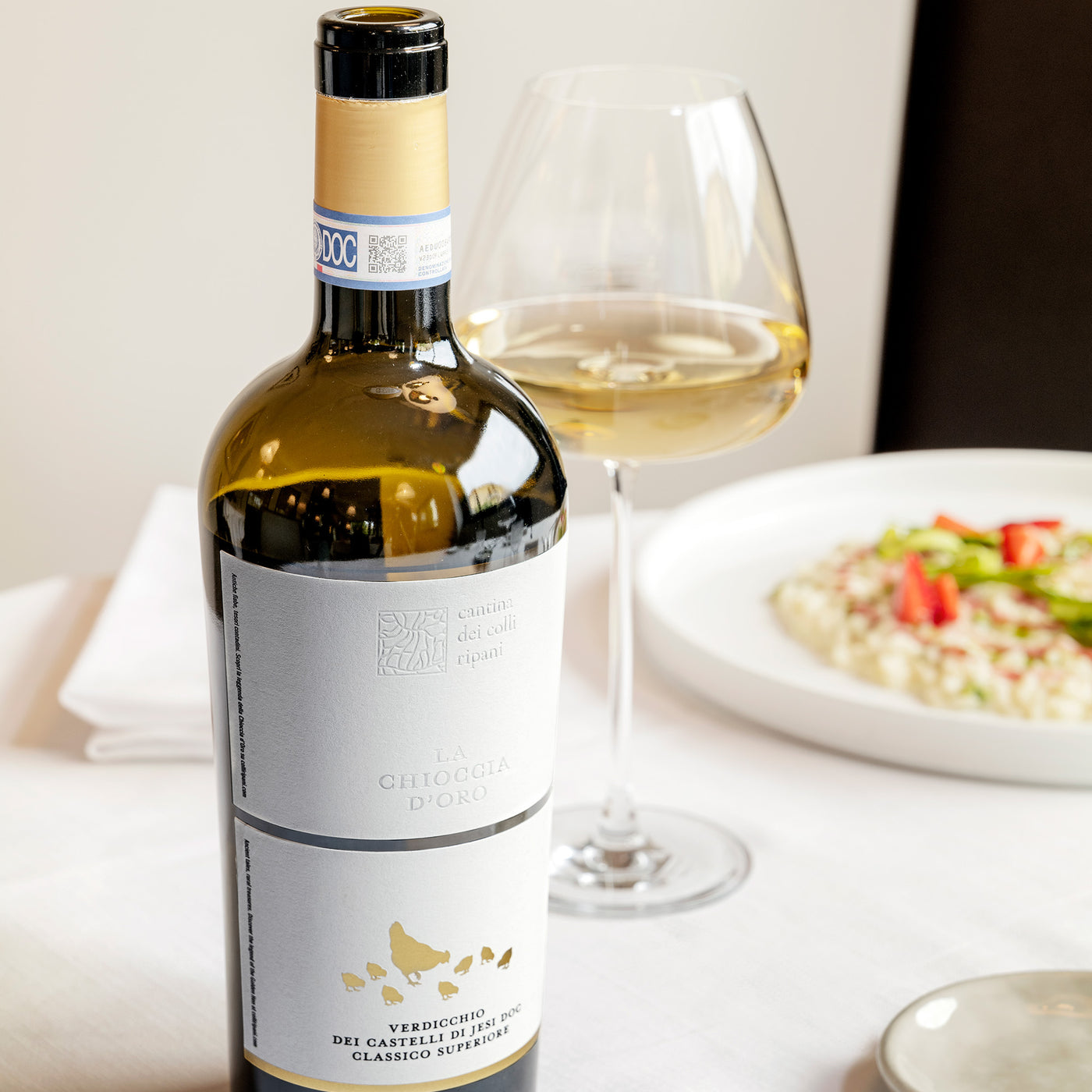 La Chioccia d'Oro - Verdicchio dei Castelli di Jesi DOC Classico Superiore 2024