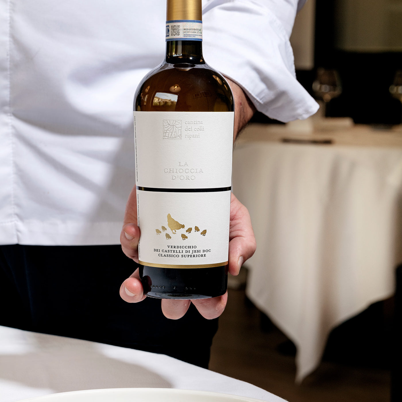 La Chioccia d'Oro - Verdicchio dei Castelli di Jesi DOC Classico Superiore 2024
