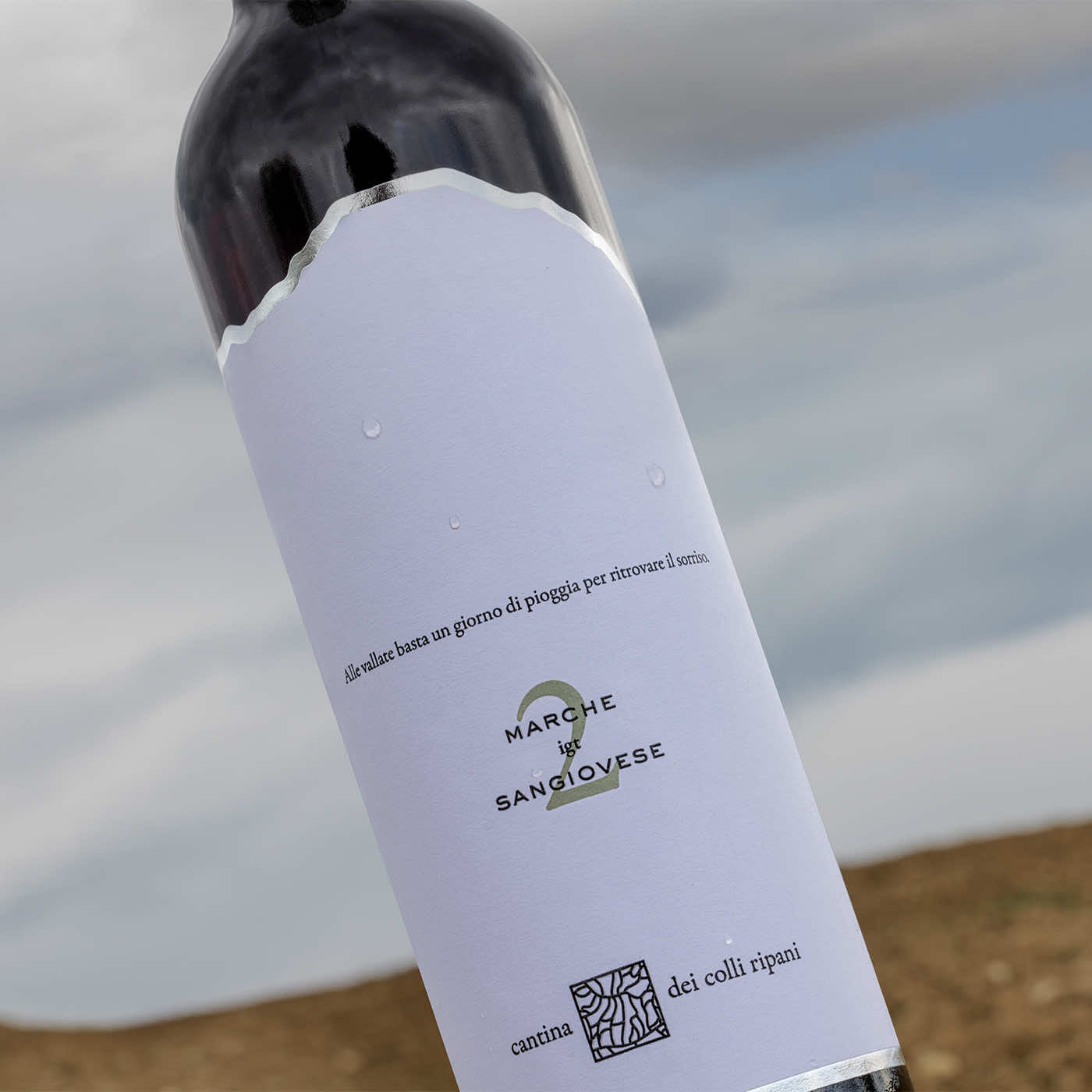 Chapter n. 2 - Marche IGT Sangiovese 2023