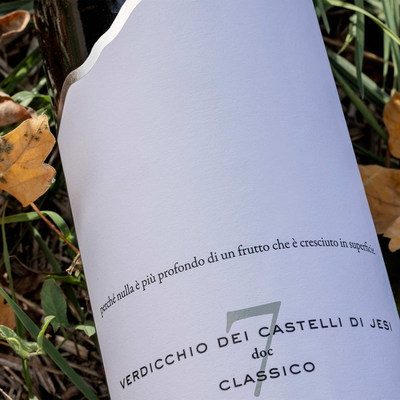 Chapter n. 7 - Verdicchio dei Castelli di Jesi DOC Classico 2023