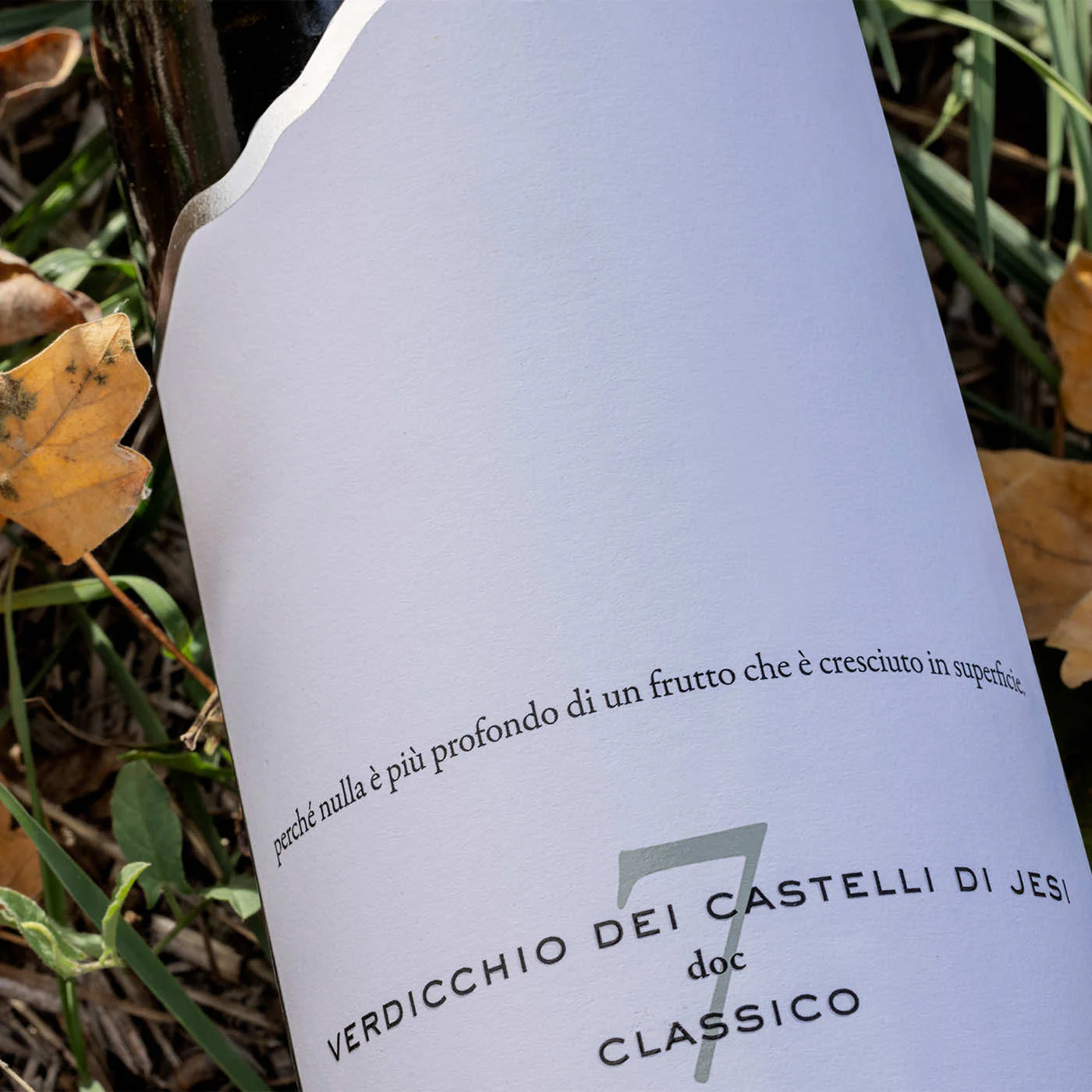 Capitolo n. 7 - Verdicchio dei Castelli di Jesi DOC Classico 2023