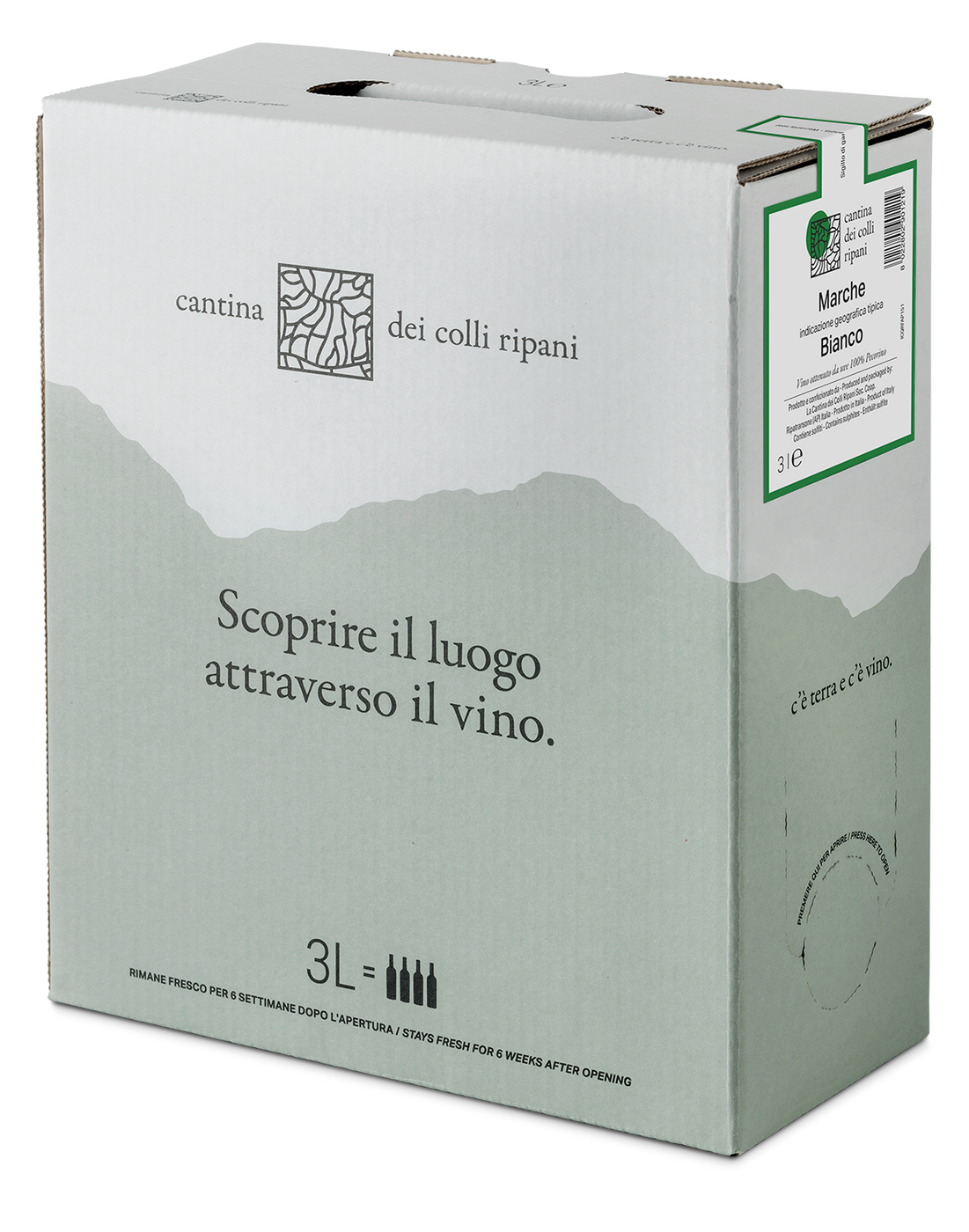 Marche IGT Bianco from 100% Pecorino grapes 2022