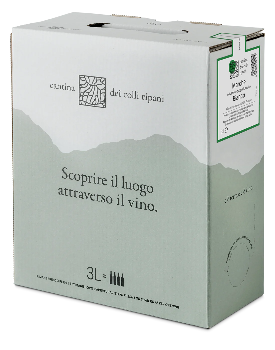 Marche IGT Bianco da uve 100% Pecorino 2022