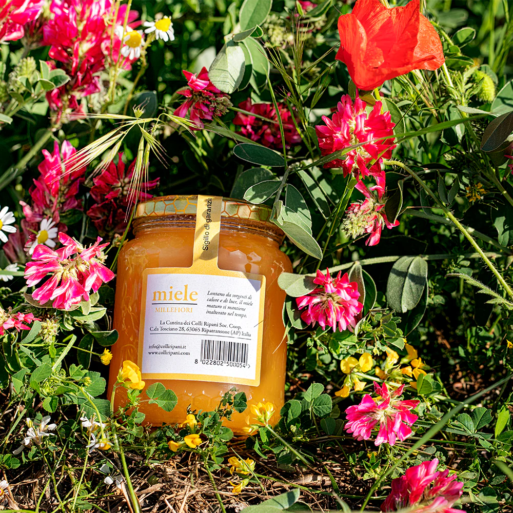 Mixed flower Honey